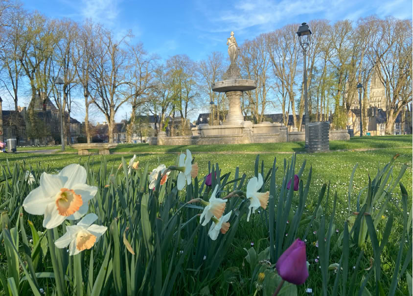 naturellement bayeux photo accueillante 5