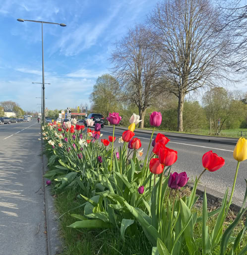 naturellement bayeux photo mobile 2